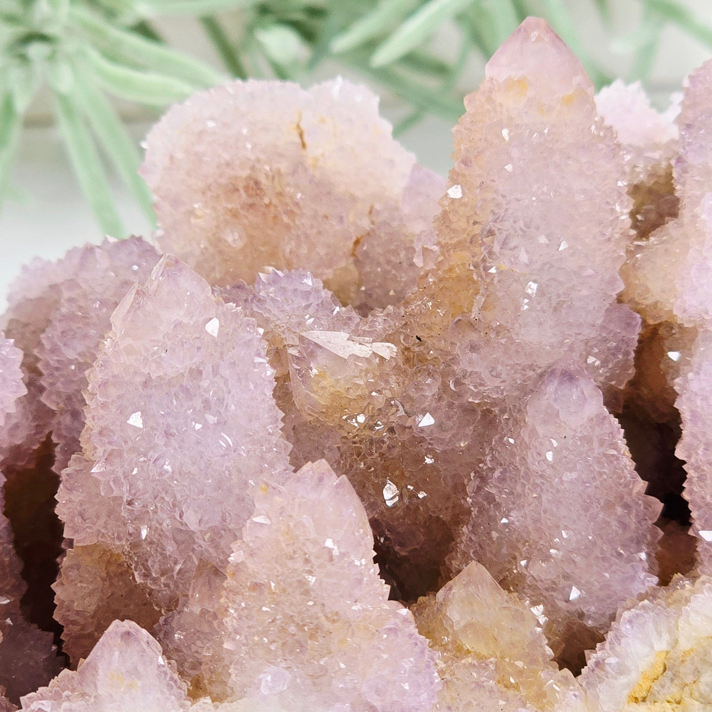 Cactus Amethyst from South Africa - Spirit Amethyst Crystal Cluster - One-of-a-Kind closeup for detail