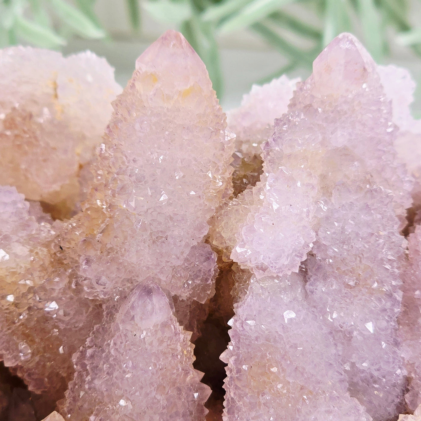 Cactus Amethyst from South Africa - Spirit Amethyst Crystal Cluster - One-of-a-Kind closeup for detail