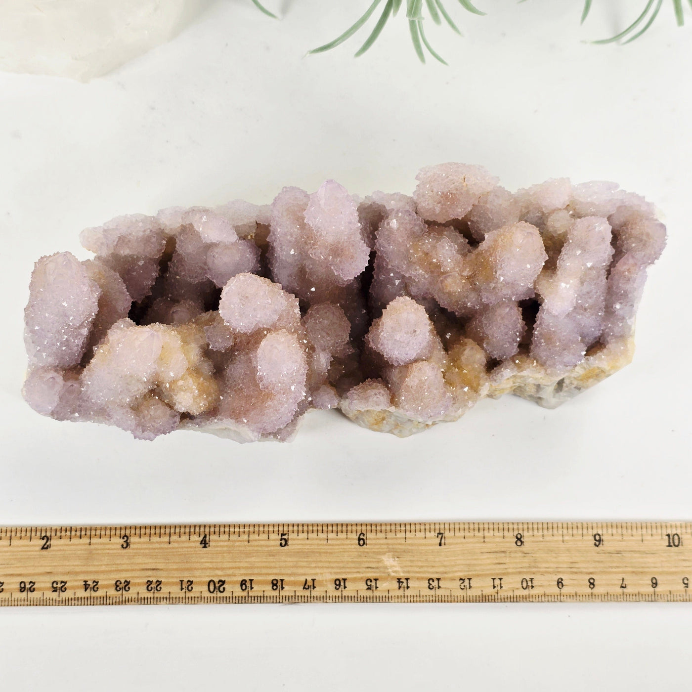 Cactus Amethyst from South Africa - Spirit Amethyst Crystal Cluster - One-of-a-Kind top view with ruler for size reference