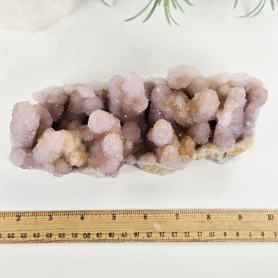 Cactus Amethyst from South Africa - Spirit Amethyst Crystal Cluster - One-of-a-Kind top view with ruler for size reference