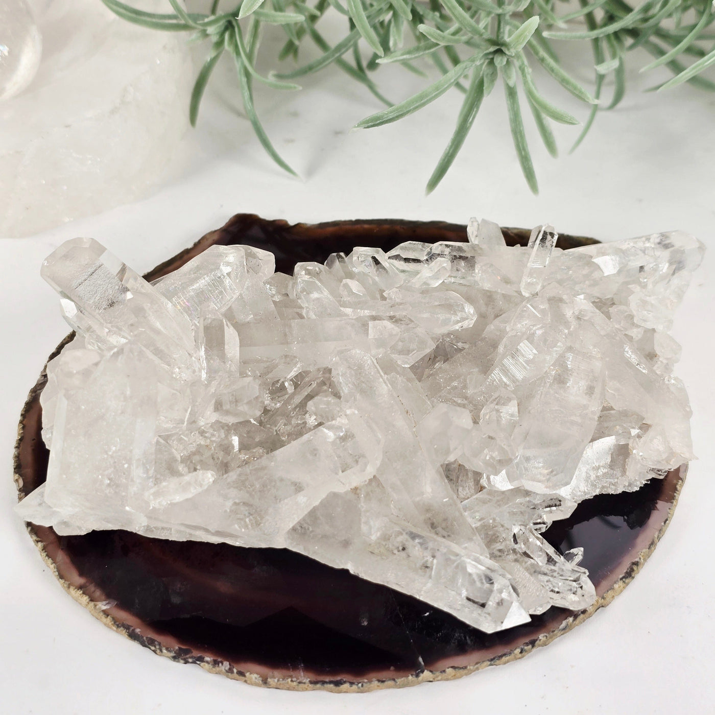 Lemurian Crystal Quartz Cluster - AA Grade - One-of-a-Kind front view with props and plants in the background