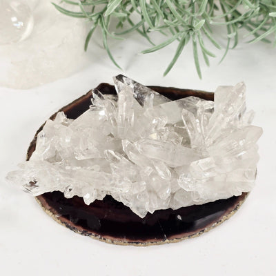 Lemurian Crystal Quartz Cluster - AA Grade - One-of-a-Kind back view