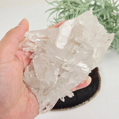 Lemurian Crystal Quartz Cluster - AA Grade - One-of-a-Kind in hand for size reference