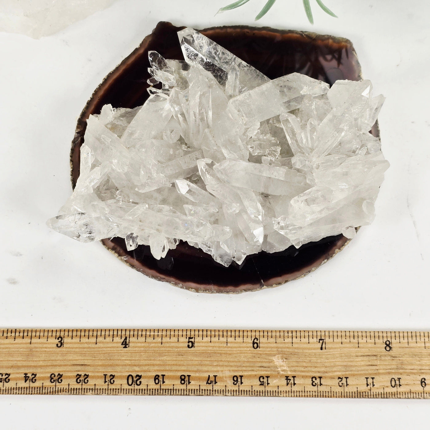 Lemurian Crystal Quartz Cluster - AA Grade - One-of-a-Kind with ruler for size reference