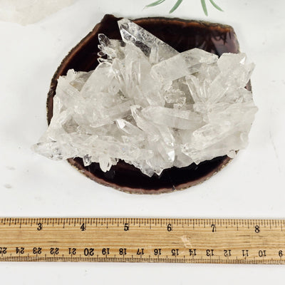 Lemurian Crystal Quartz Cluster - AA Grade - One-of-a-Kind with ruler for size reference