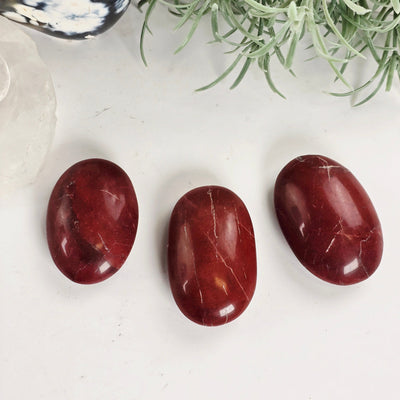 Red Jasper Crystal Palm Stone - You Choose all variants with plants and props in the background
