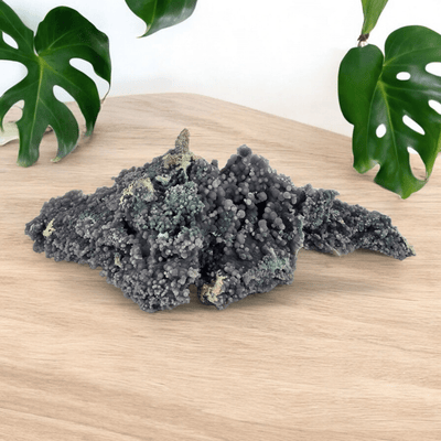 Grape Agate - Large Purple Grape Chalcedony Crystal Cluster from Indonesia - One-of-a-Kind on light wood table with plants in the background
