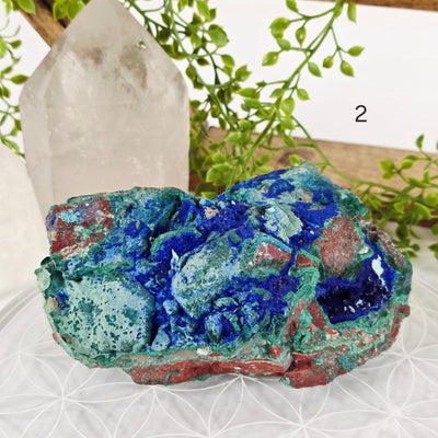 Azurite with Malachite Crystal on Matrix - AAA Grade - You Choose #2 variant 2 labeled