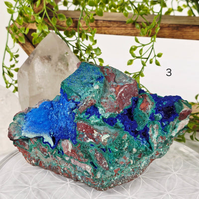 Azurite with Malachite Crystal on Matrix - AAA Grade - You Choose #2 variant 3 labeled