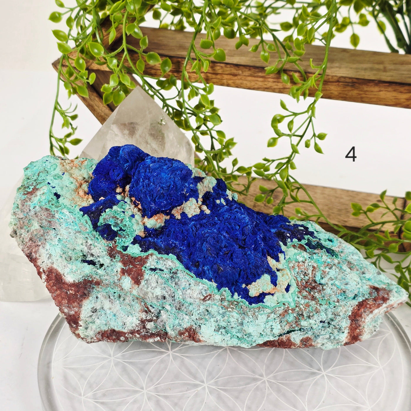 Azurite with Malachite Crystal on Matrix - AAA Grade - You Choose #2 variant 4 labeled