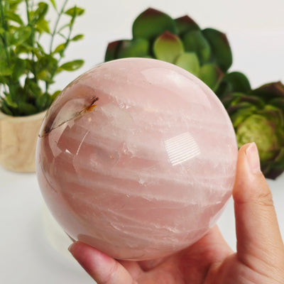 Rose Quartz Crystal Sphere - One-of-a-Kind with hand for size reference