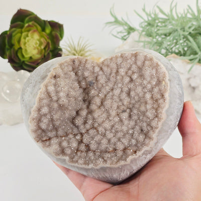 Light Amethyst Druzy Crystal Heart - One-of-a-Kind in hand for size reference with plants and props in the background