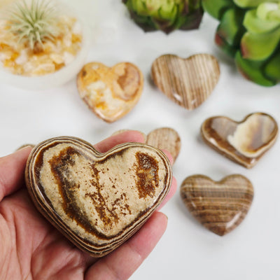Aragonite Crystal Heart - You Choose variant 6 in hand for size reference with other variants in the background with props and plants