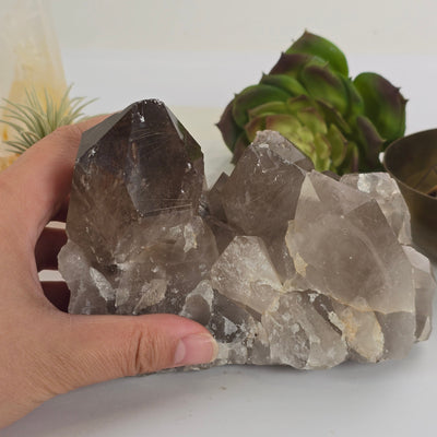 Rutilated Smokey Quartz - Large Crystal Cluster - One-of-a-Kind #2 with hand for size reference