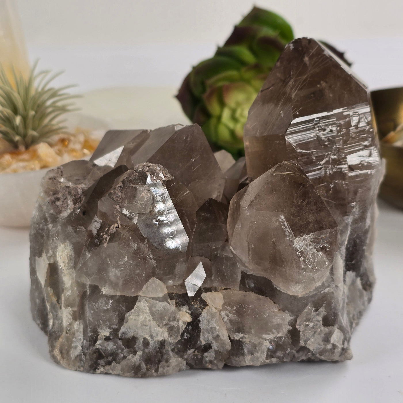 Rutilated Smokey Quartz - Large Crystal Cluster - One-of-a-Kind #2 back view