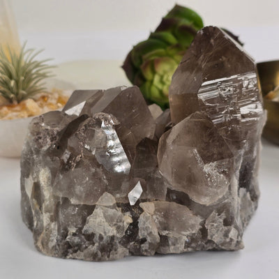 Rutilated Smokey Quartz - Large Crystal Cluster - One-of-a-Kind #2 back view