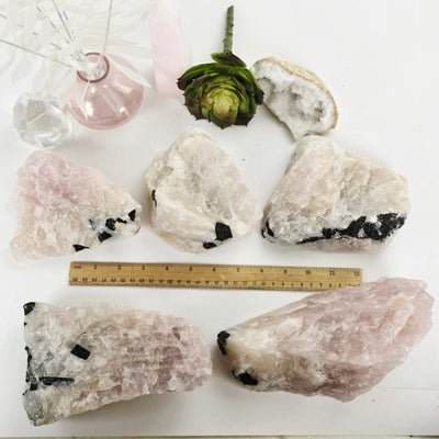 Black Tourmaline on Rose Quartz Crystal Matrix Rare Find - You Choose #2 all variants with ruler for size reference