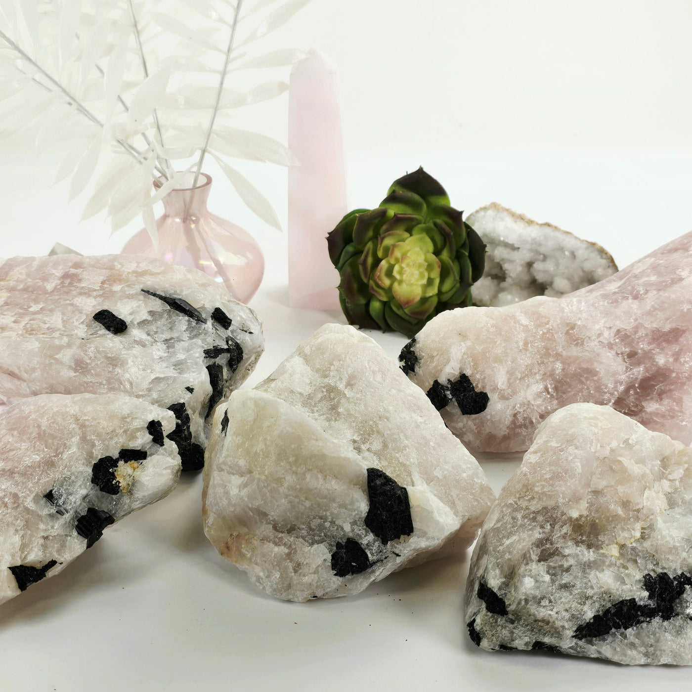 Black Tourmaline on Rose Quartz Crystal Matrix Rare Find - You Choose #2 all variants with props and plants in the background