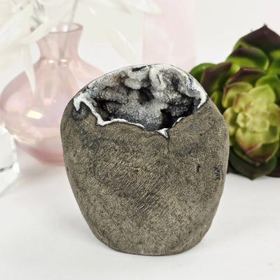 Zeolite Apophyllite and Chalcedony Druzy Crystal Geode Cut Base - One-of-a-Kind front view with props and plants in the background