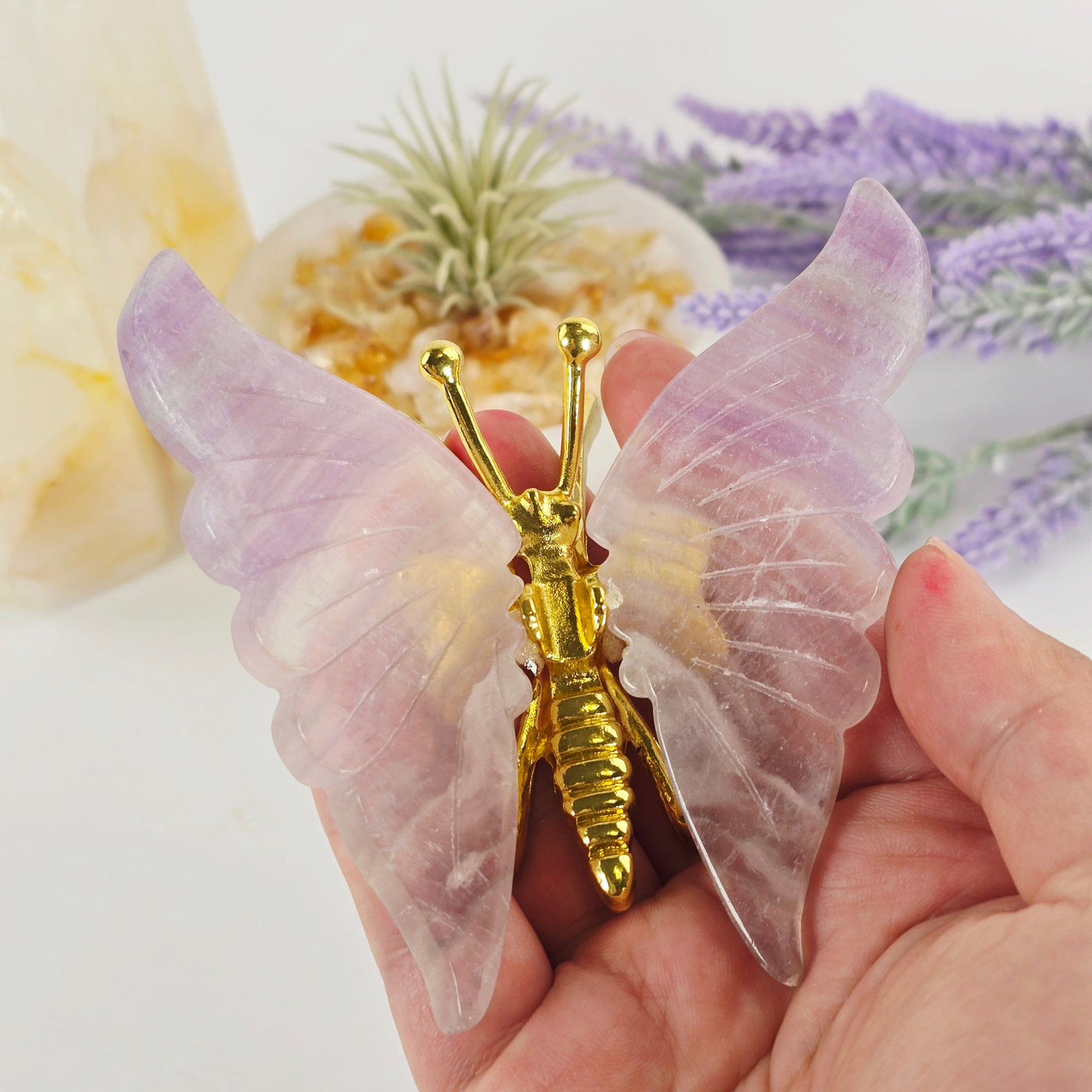 Fluorite Crystal Butterfly - Gold Toned Metal Butterfly with Fluorite Wings - One-of-a-Kind in hand for size reference with props and plants in the background