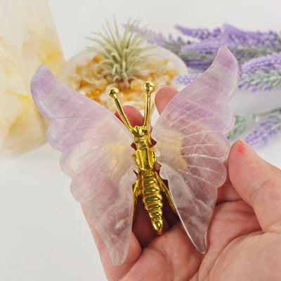 Fluorite Crystal Butterfly - Gold Toned Metal Butterfly with Fluorite Wings - One-of-a-Kind in hand for size reference with props and plants in the background