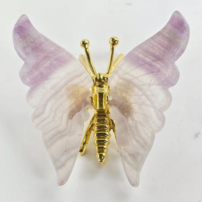 Fluorite Crystal Butterfly - Gold Toned Metal Butterfly with Fluorite Wings - One-of-a-Kind front view