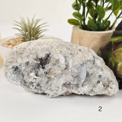 Celestite Crystal Cluster - You Choose variant 2 labeled