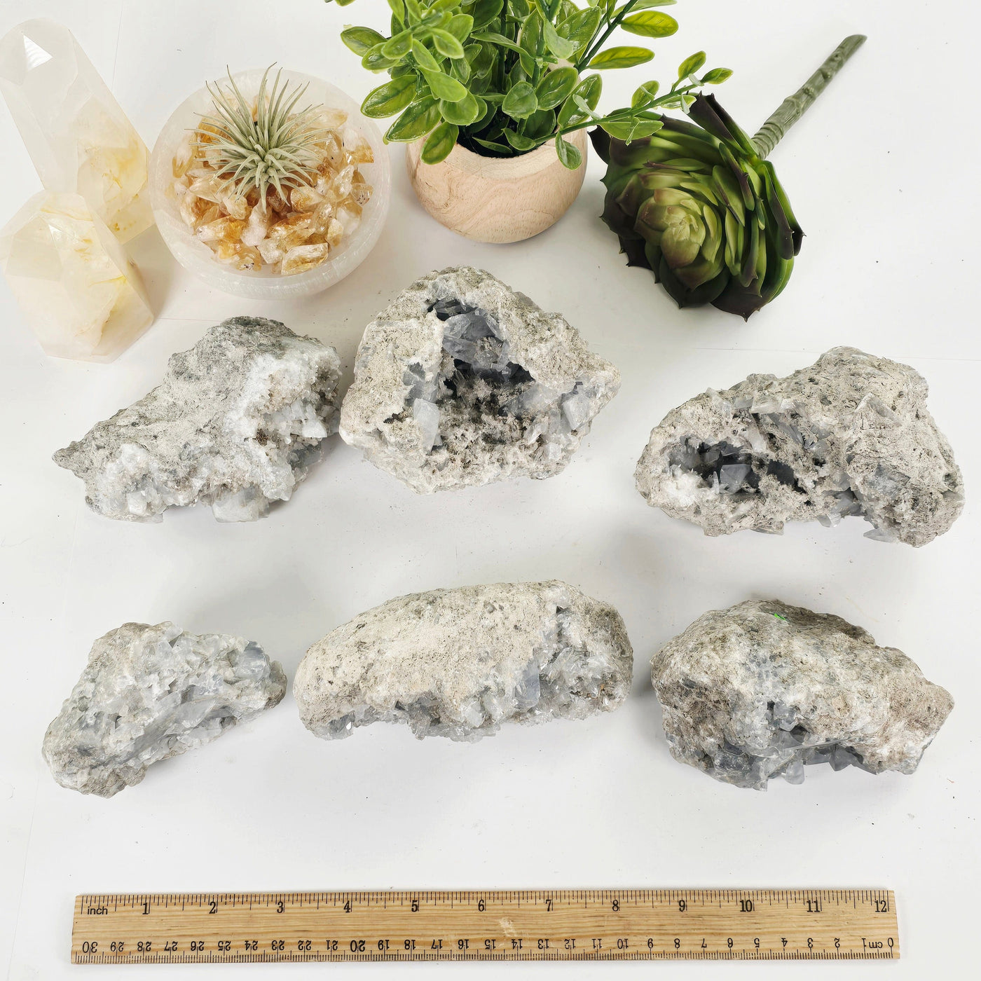 Celestite Crystal Cluster - You Choose all variants top view with ruler for size reference