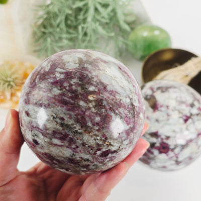 Pink Tourmaline with Aquamarine Crystal Sphere - You Choose variant 1 in hand with other variant in background with props and plants