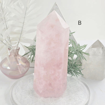 Rose Quartz Polished Crystal Obelisk - You Choose #2 variant B labeled