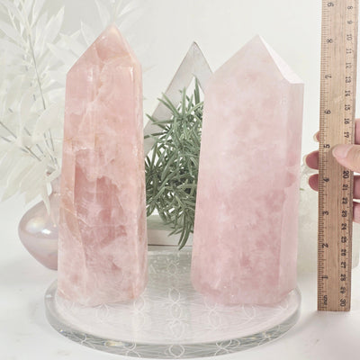 Rose Quartz Polished Crystal Obelisk - You Choose #2 both variants with ruler for size reference