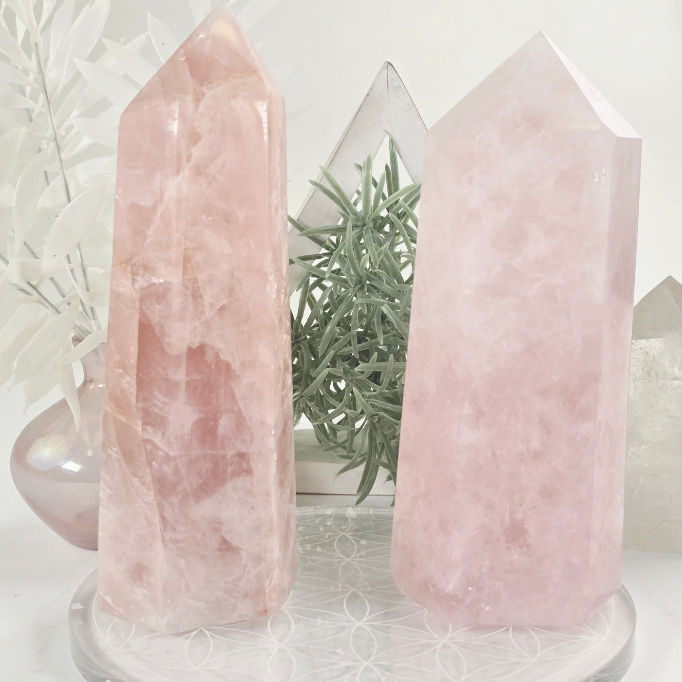 Rose Quartz Polished Crystal Obelisk - You Choose #2 both variants with props and plants in the background