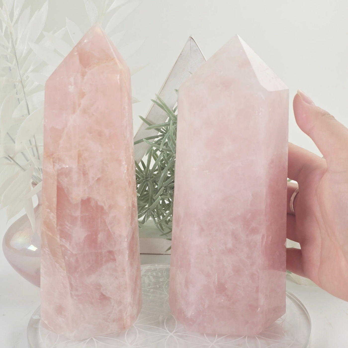 Rose Quartz Polished Crystal Obelisk - You Choose #2 both variants with hand for size reference