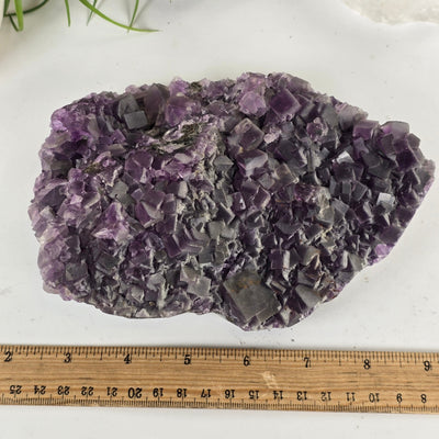 Purple Cubic Fluorite Crystal Cluster on Matrix #1 top view with ruler for size reference