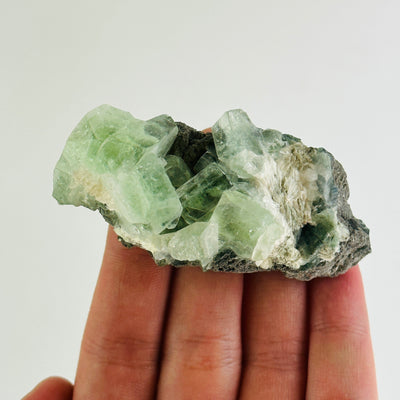 hand holding up green apophyllite on matrix cluster