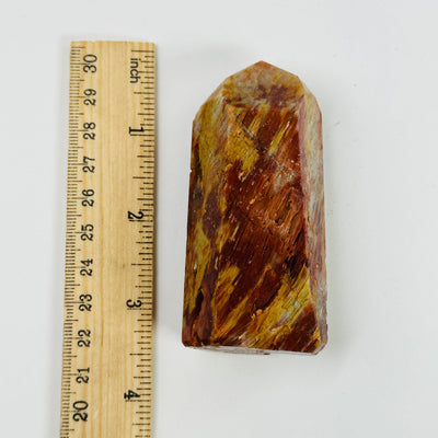 amphibole polished point next to a ruler for size reference