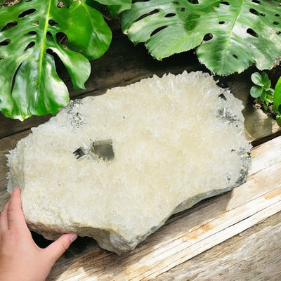 Cubic Pyrite on High Grade Crystal Quartz Cluster - Rare Find on wood surface with monstera leaves in the background with hand holding crystal cluster for size reference