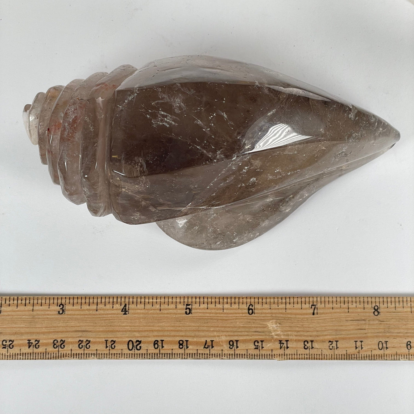 Rutilated Smoky Quartz Crystal Conch Shell - One-of-a-Kind top view with ruler for size reference