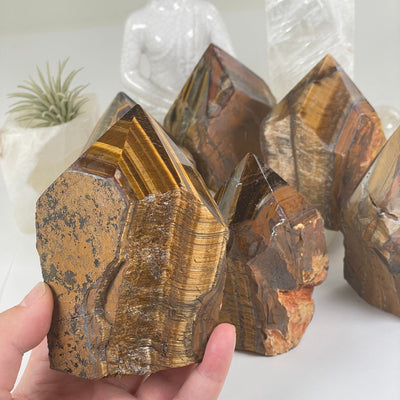 Tigers Eye Semi Polished Crystal Point - You Choose #2 one in hand for size reference with other variants in the background