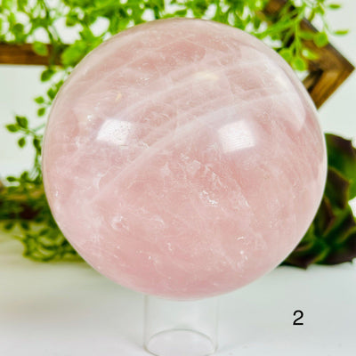 Rose Quartz Crystal Sphere - You Choose variant 2 labeled