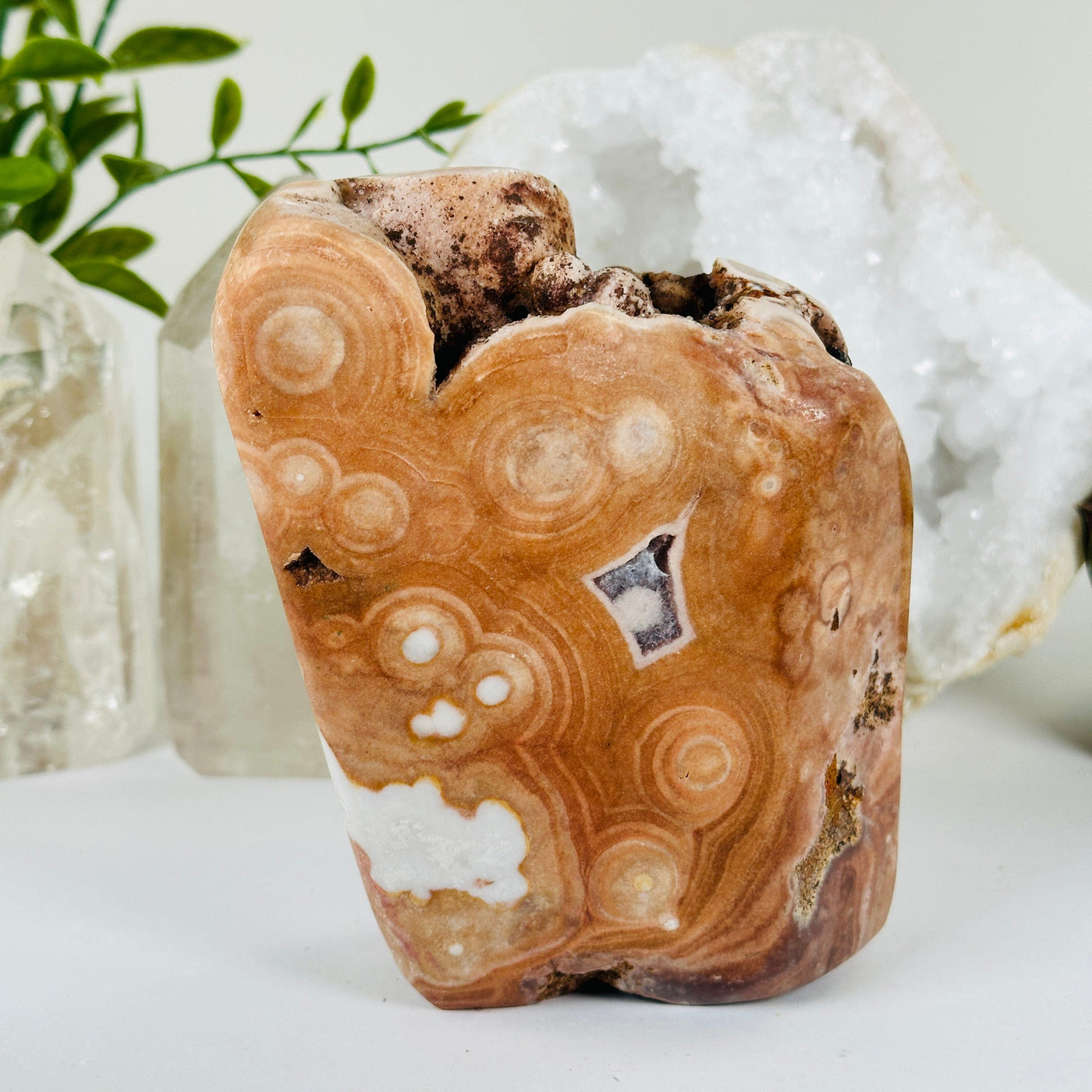 Pink Amethyst Polished Crystal Freeform One-of-a-Kind #1 front view with props and plants in the background