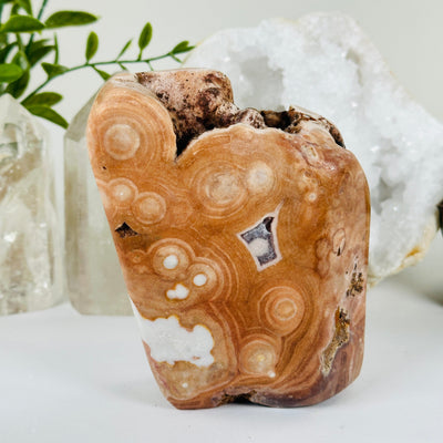 Pink Amethyst Polished Crystal Freeform One-of-a-Kind #1 front view with props and plants in the background