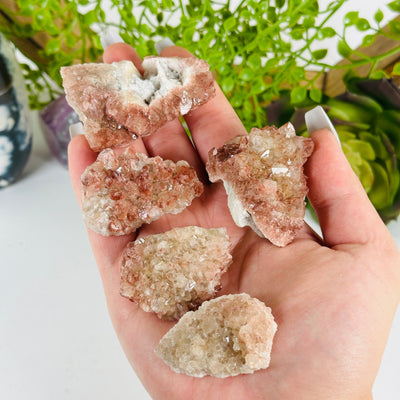 Lithium Quartz Crystal Clusters - You Get All all clusters in hand for size reference