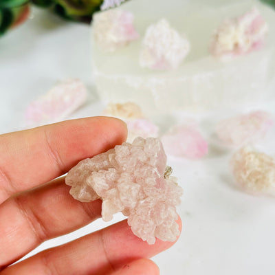 Rose Quartz Natural Small Crystal Cluster - Rare Find - You Choose variant 8 in hand for size reference with other variants in the background