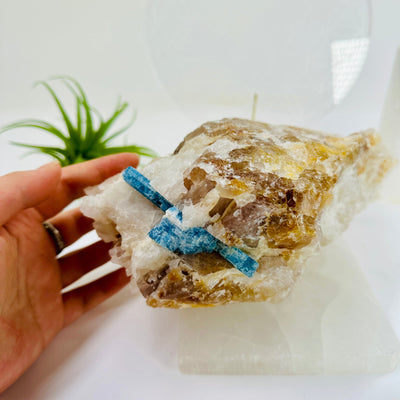 Aquamarine in matrix - aquamarine crystal embedded in large natural rough stone with hand for size reference