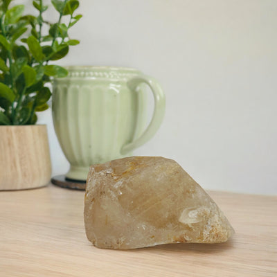 Smoky Citrine Alligator Quartz Crystal back view on a lightwood table with a plant and a mug in the background.