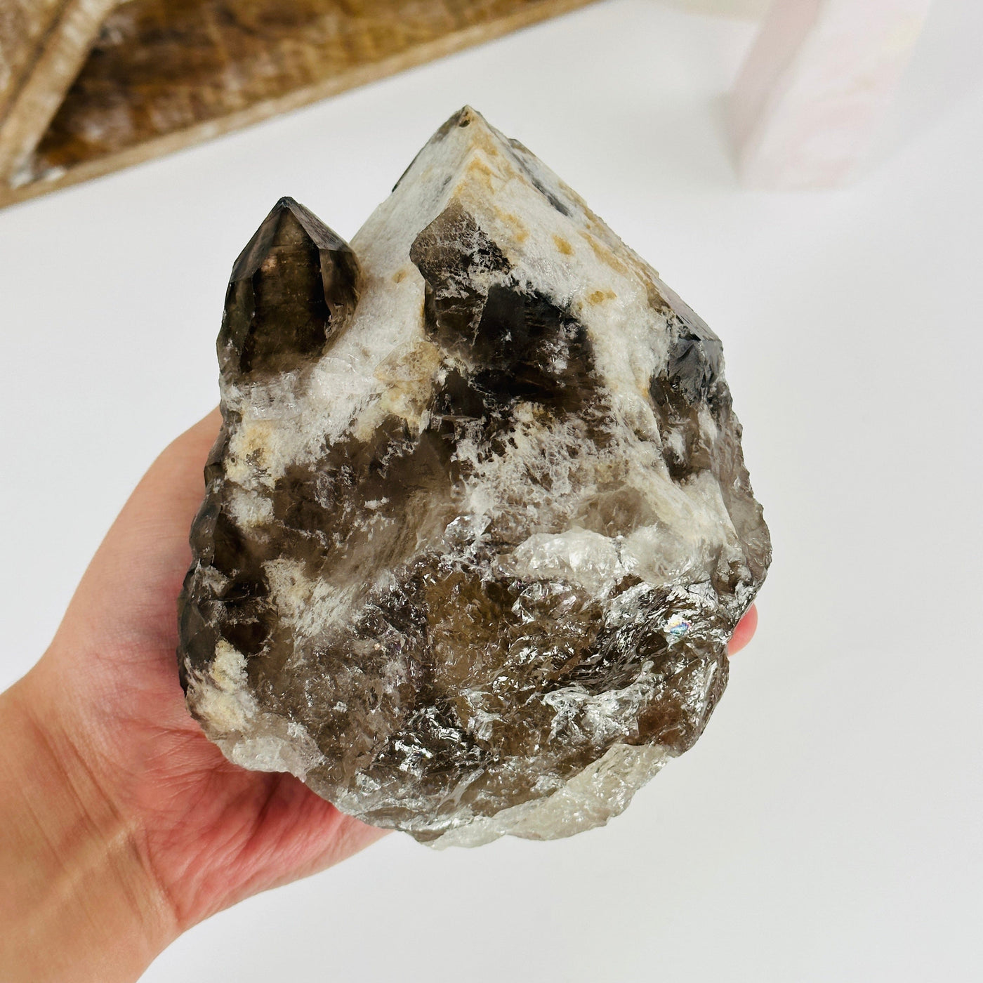 hand holding up alligator smokey quartz cluster with decorations in the background