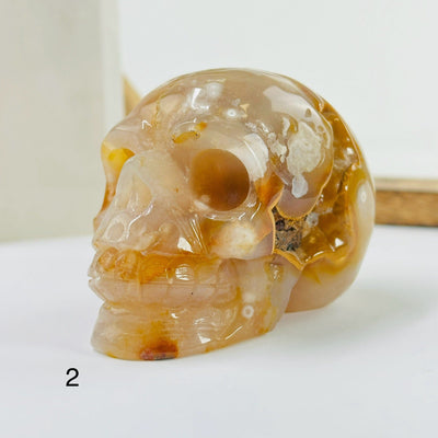 flower agate skulls with decorations in the background