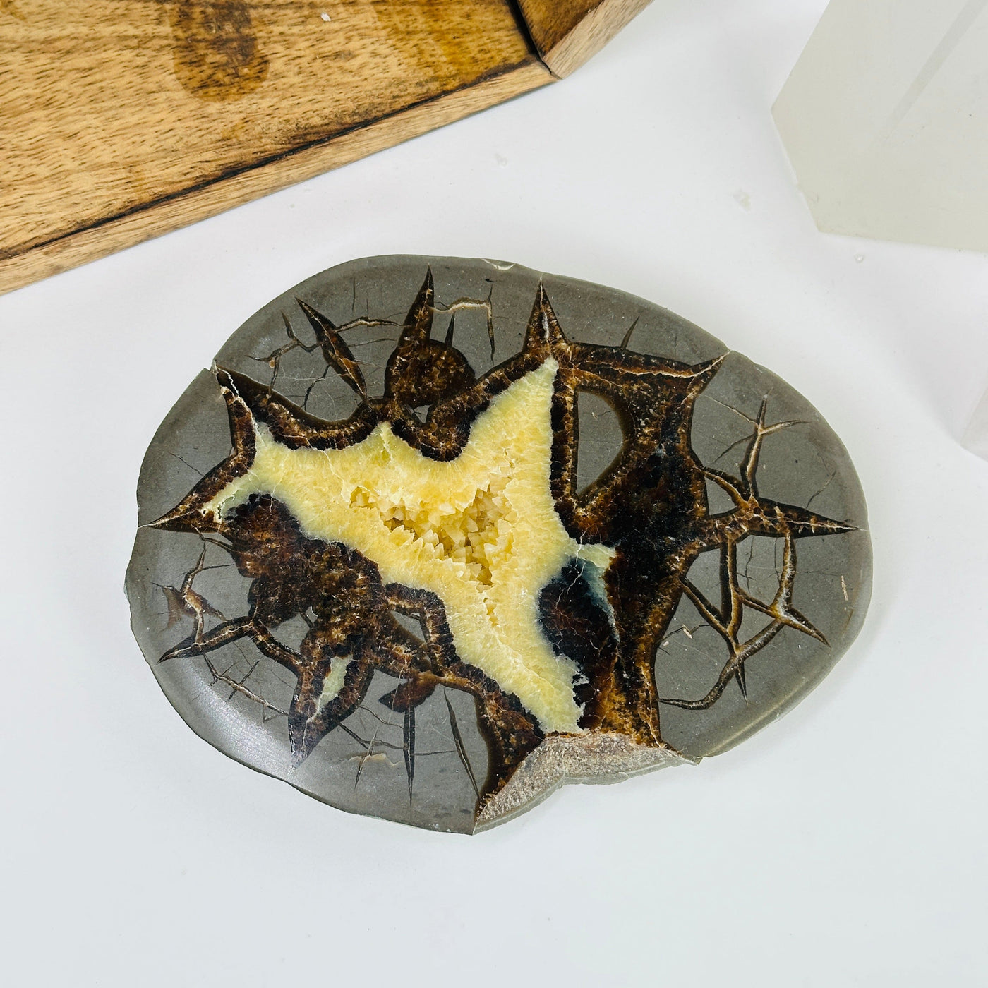 septarian platter with decorations in the background