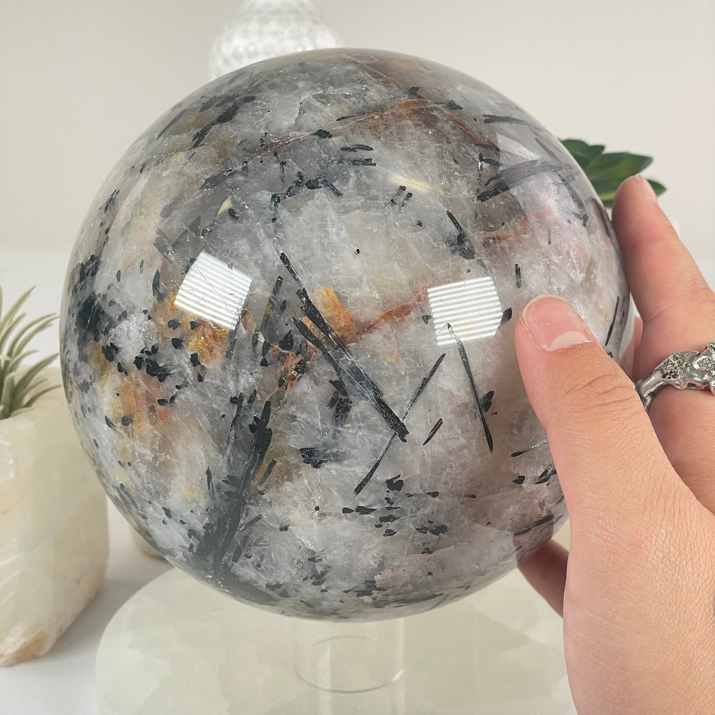 Black Tourmalinated Quartz Crystal Sphere - One-of-a-Kind in hand for size reference
